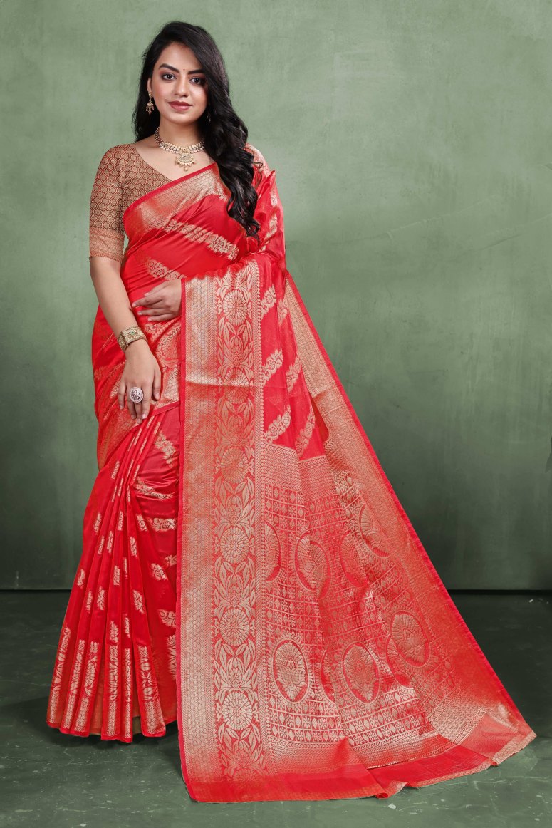 Catalog Designer Saree.