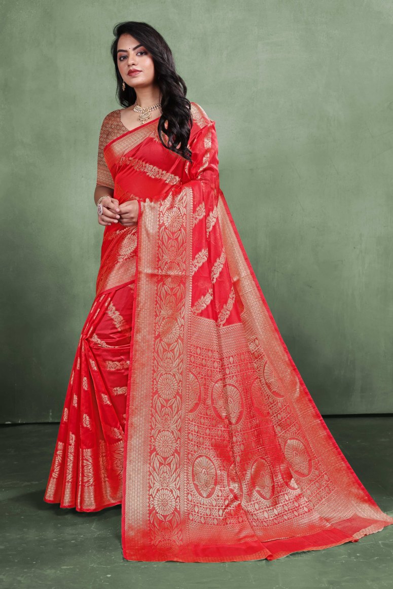 Catalog Designer Saree.