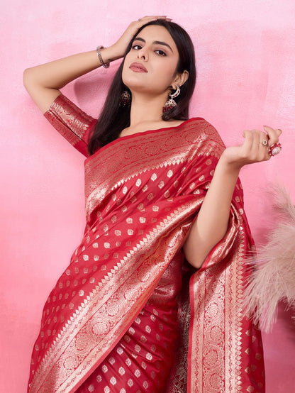 Catalog Designer Saree.