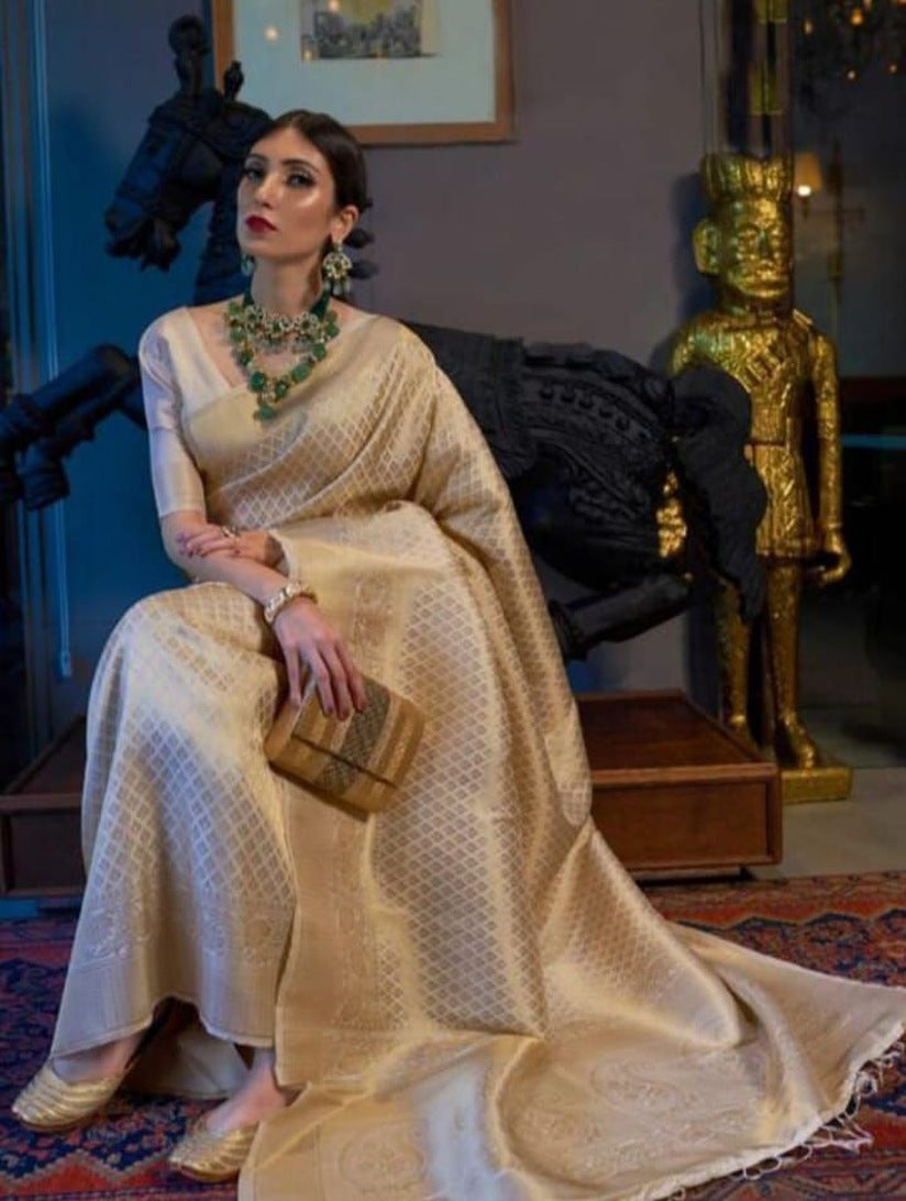 Catalog Designer Saree.
