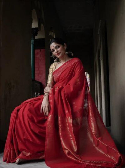 Catalog Designer Saree.