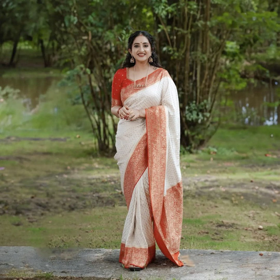Catalog Designer Saree.