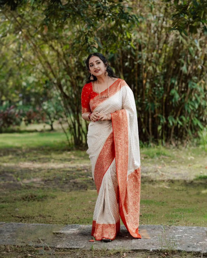 Catalog Designer Saree.