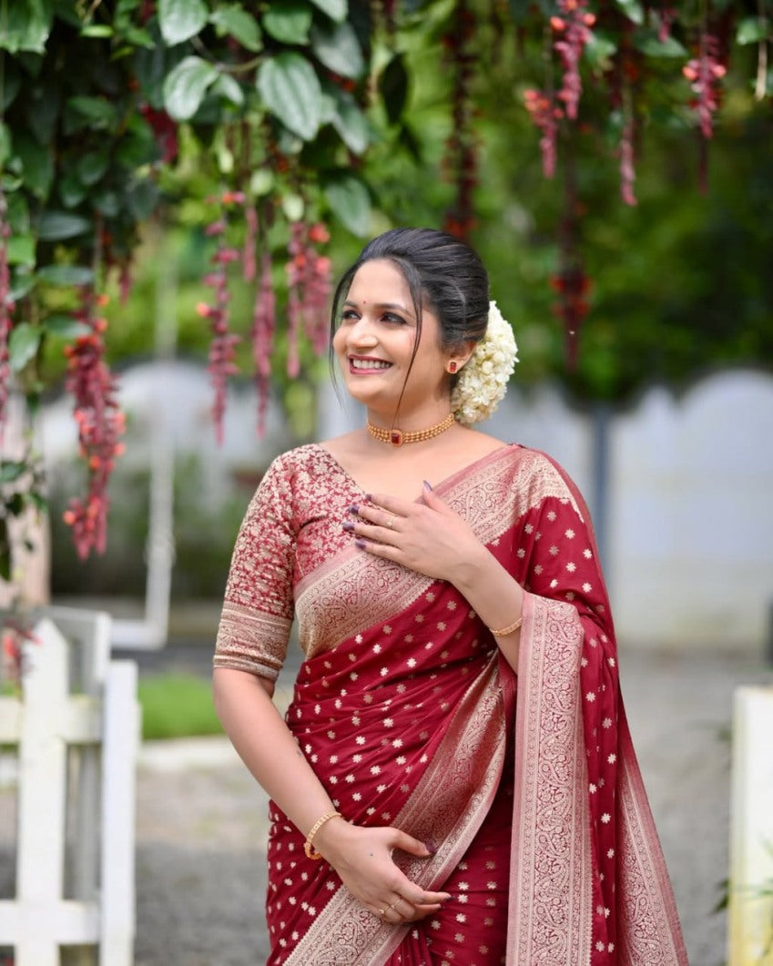 Catalog Designer Saree.