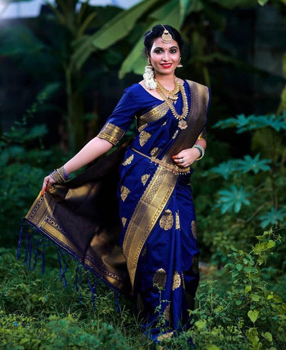 Catalog Designer Saree.