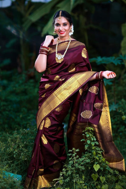 Catalog Designer Saree.