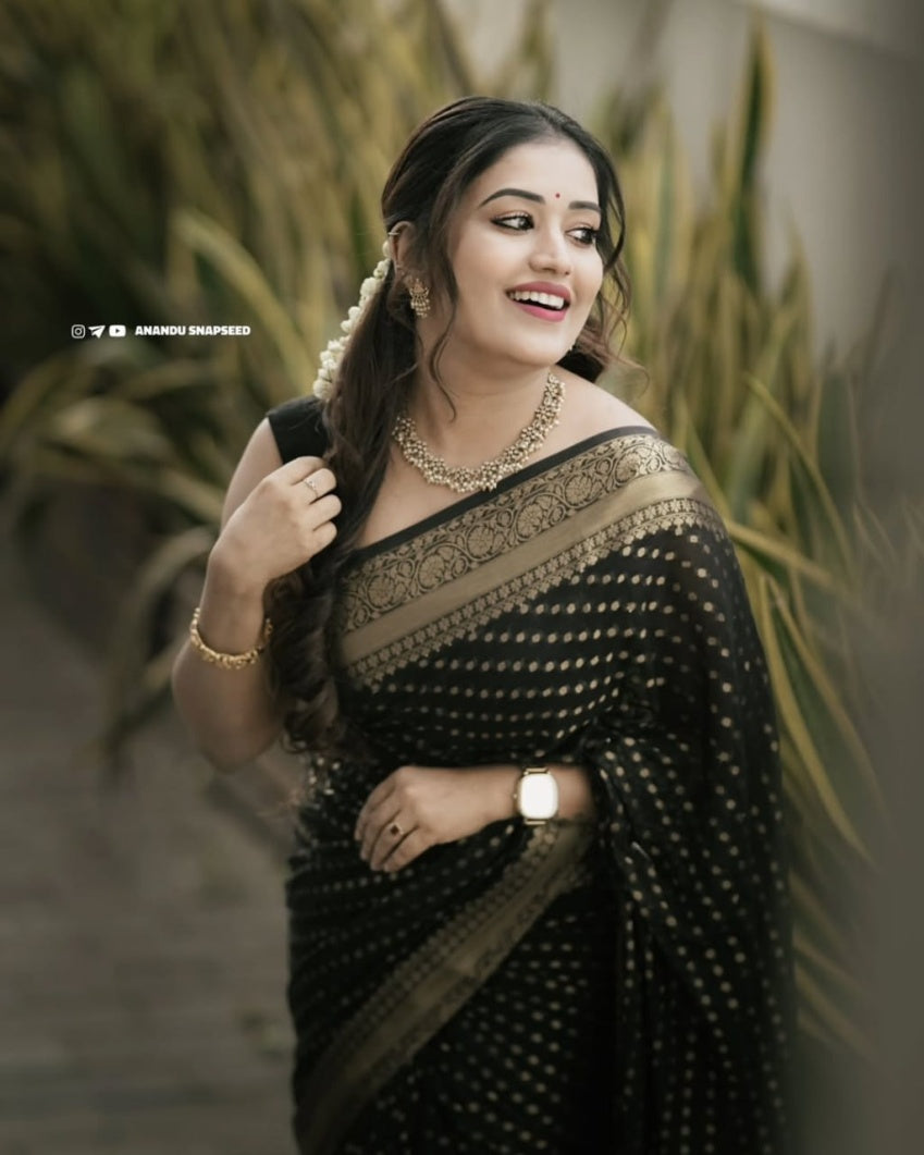 Catalog Designer Saree.