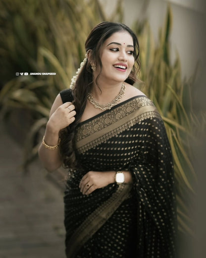 Catalog Designer Saree.