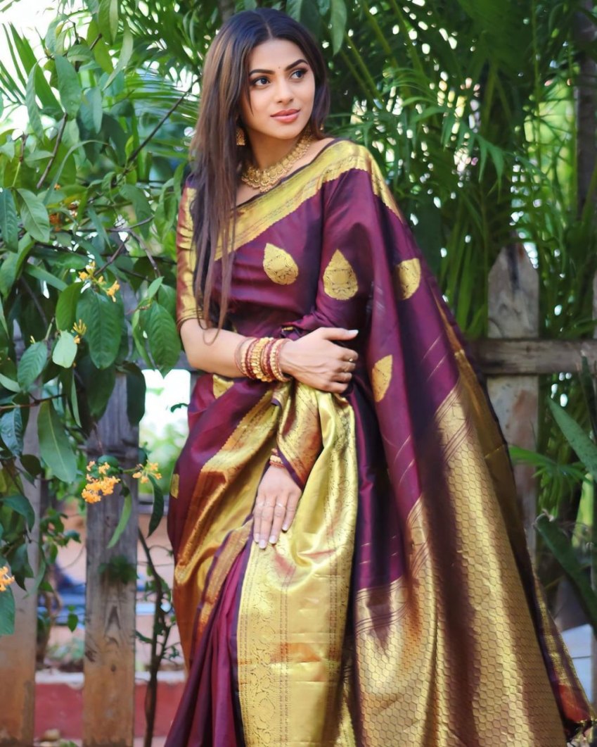Catalog Designer Saree.