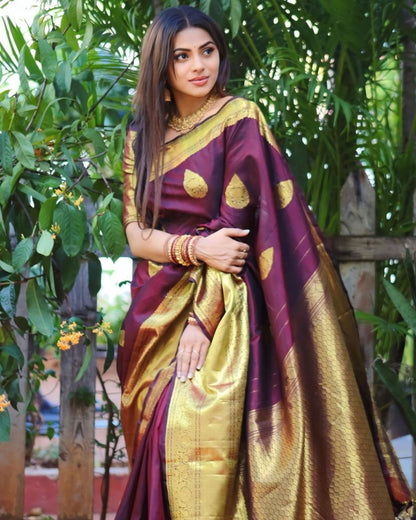 Catalog Designer Saree.