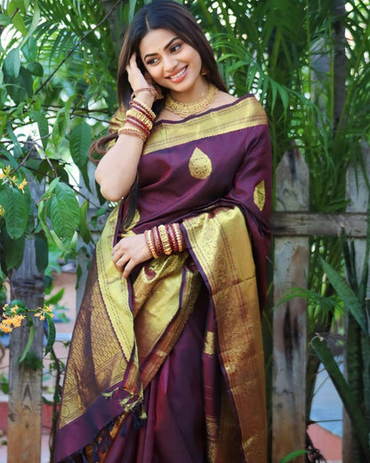 Catalog Designer Saree.
