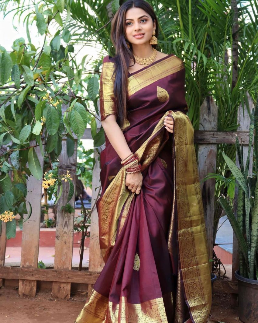 Catalog Designer Saree.