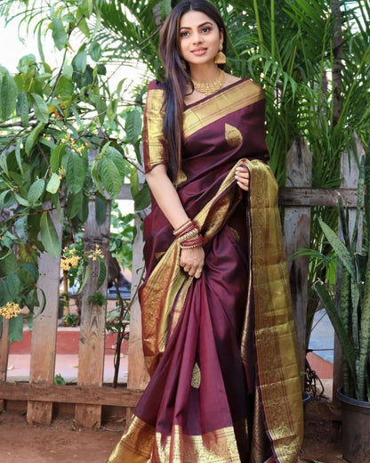 Catalog Designer Saree.