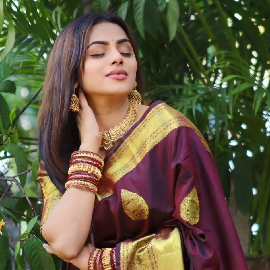 Catalog Designer Saree.