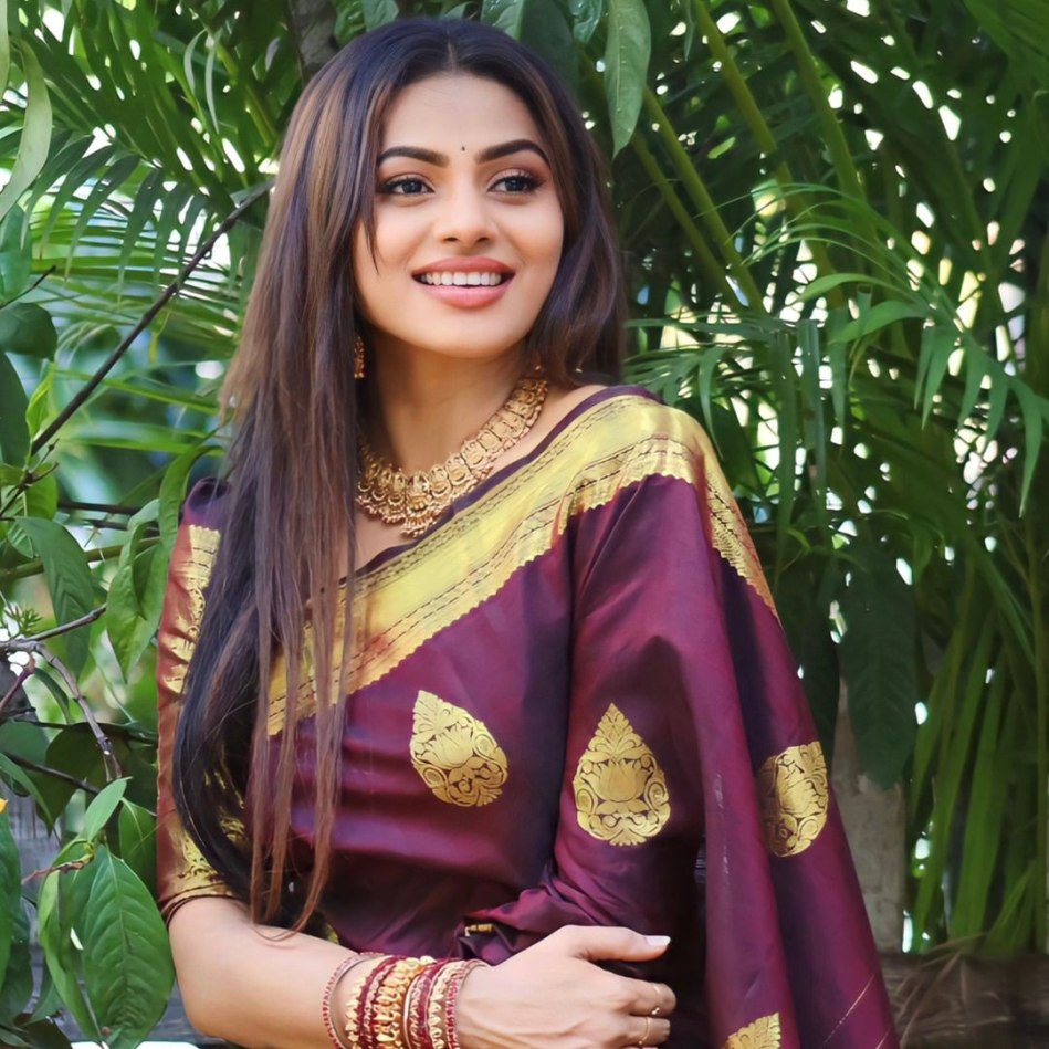 Catalog Designer Saree.