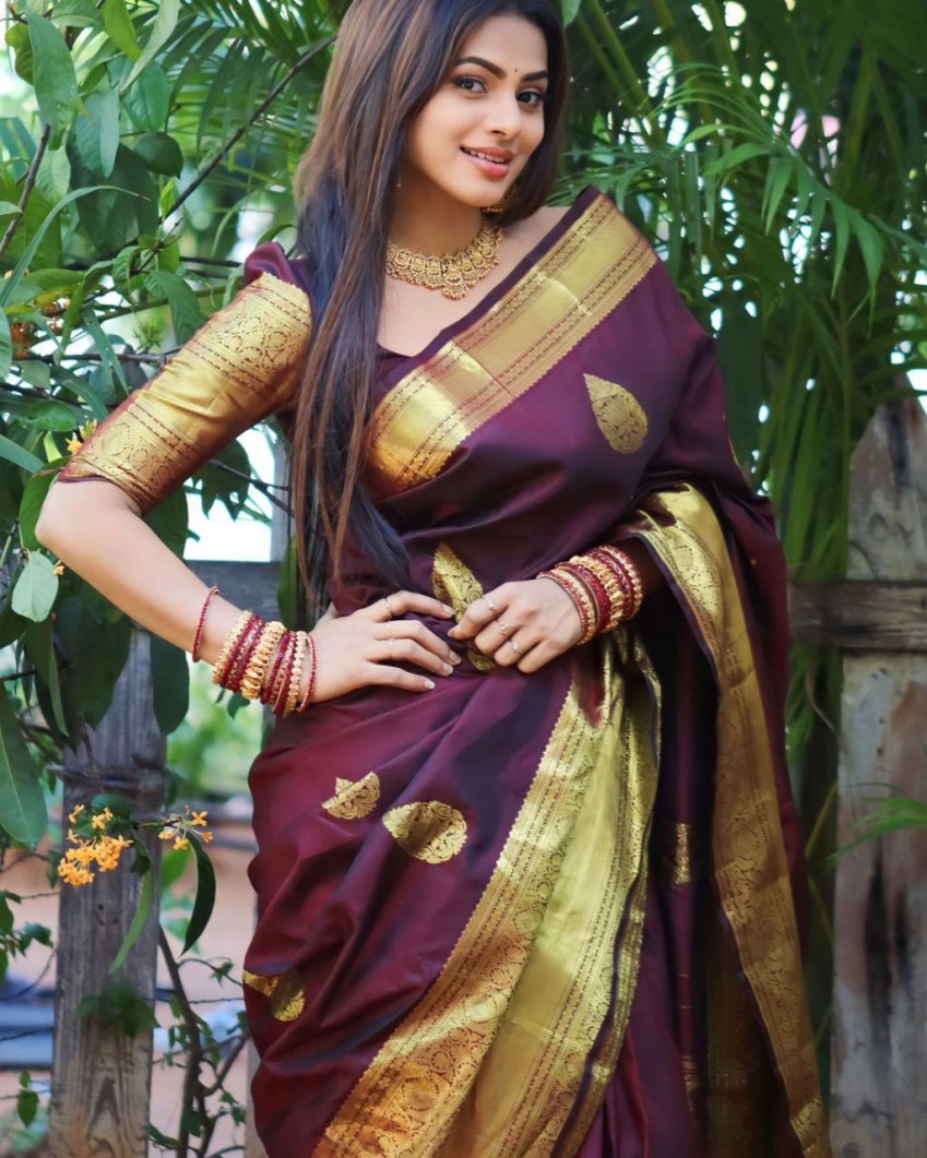 Catalog Designer Saree.