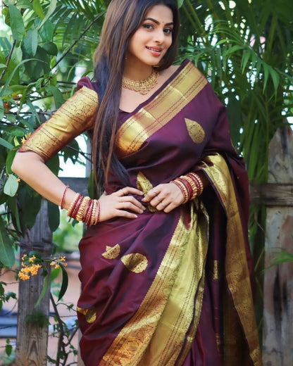 Catalog Designer Saree.
