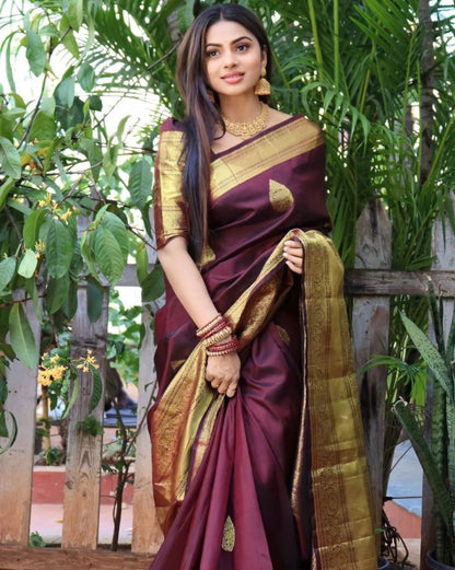 Catalog Designer Saree.