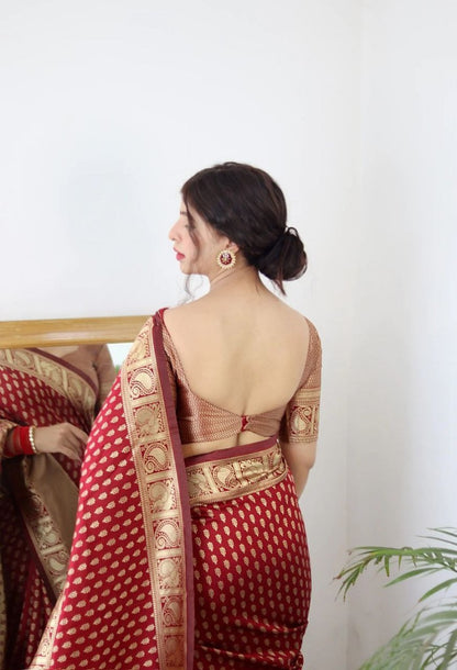 Catalog Designer Saree.