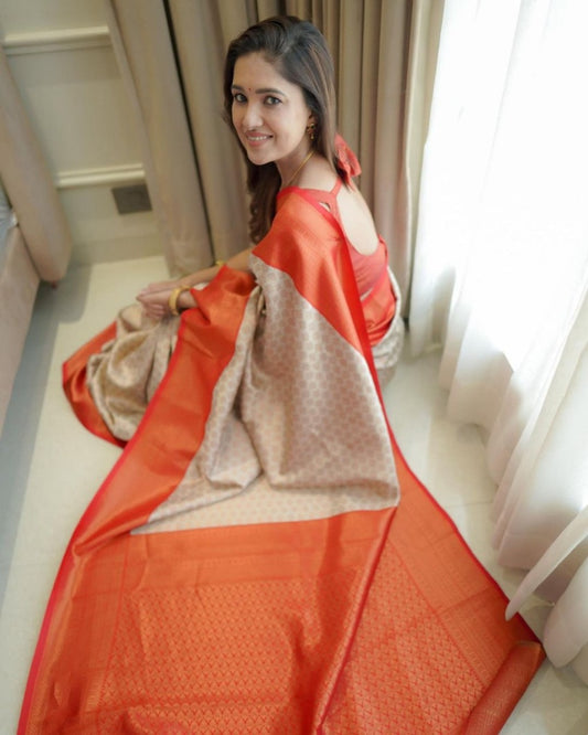 Catalog Designer Saree.