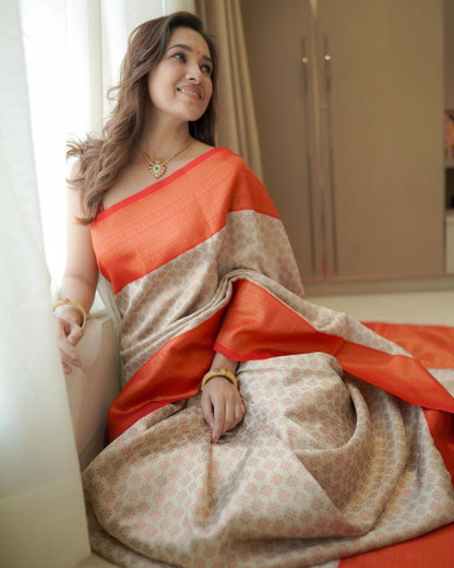 Catalog Designer Saree.