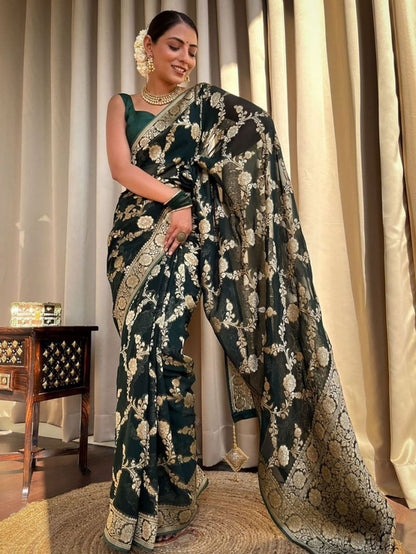 Catalog Designer Saree.