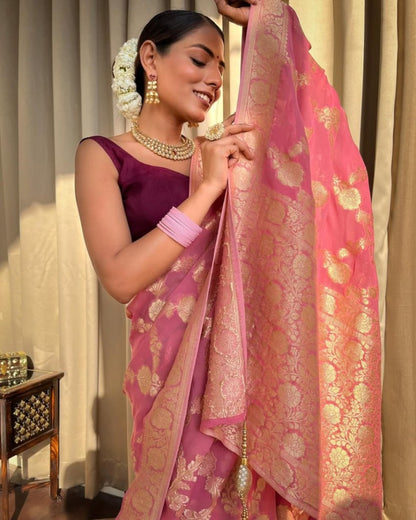 Catalog Designer Saree.