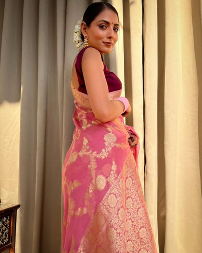 Catalog Designer Saree.