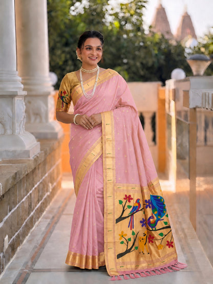 Catalog Designer Saree.