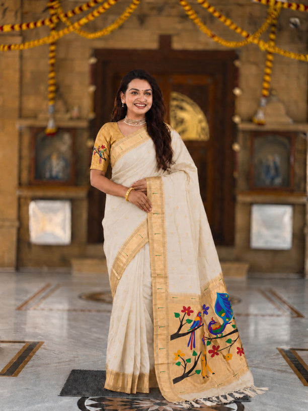 Catalog Designer Saree.