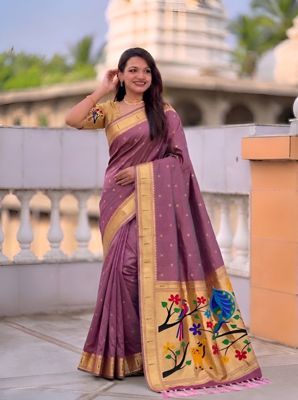 Catalog Designer Saree.