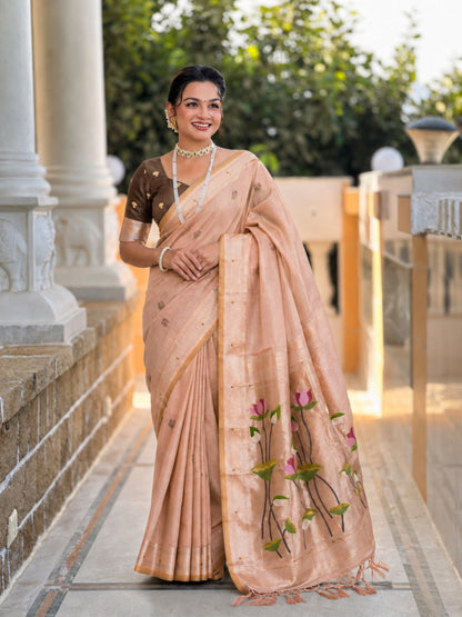 Catalog Designer Saree.