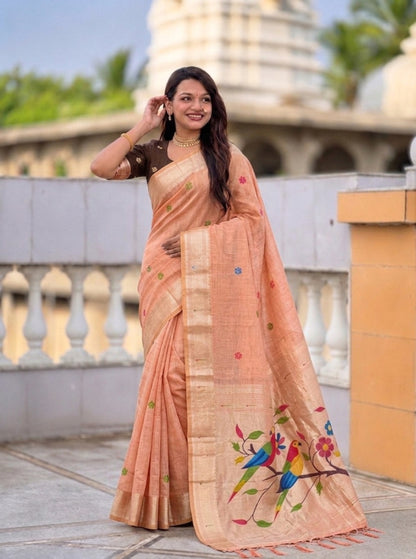 Catalog Designer Saree.