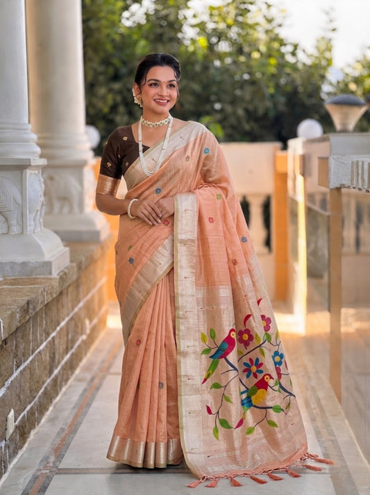 Catalog Designer Saree.