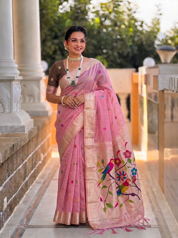 Catalog Designer Saree.