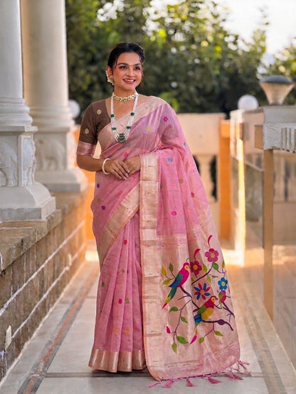 Catalog Designer Saree.