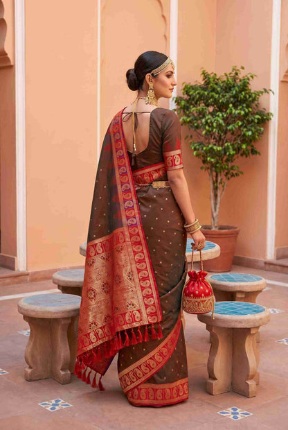 Catalog Designer Saree.