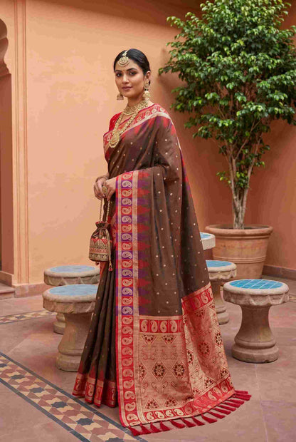 Catalog Designer Saree.