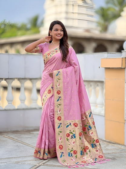 Catalog Designer Saree.