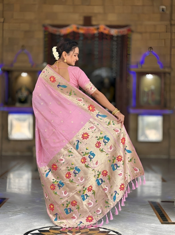 Catalog Designer Saree.
