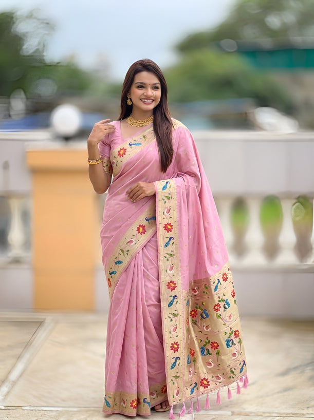 Catalog Designer Saree.