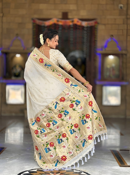 Catalog Designer Saree.