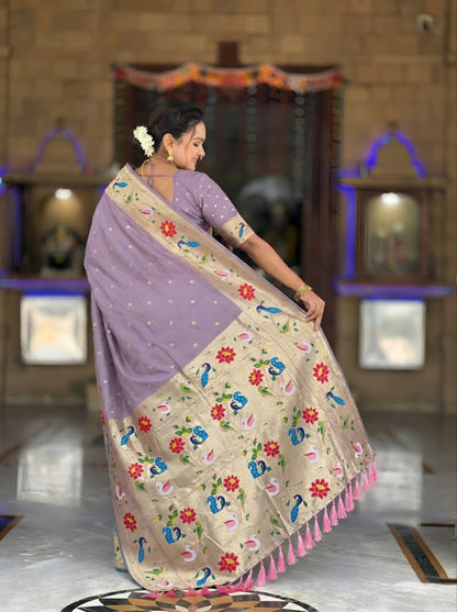 Catalog Designer Saree.
