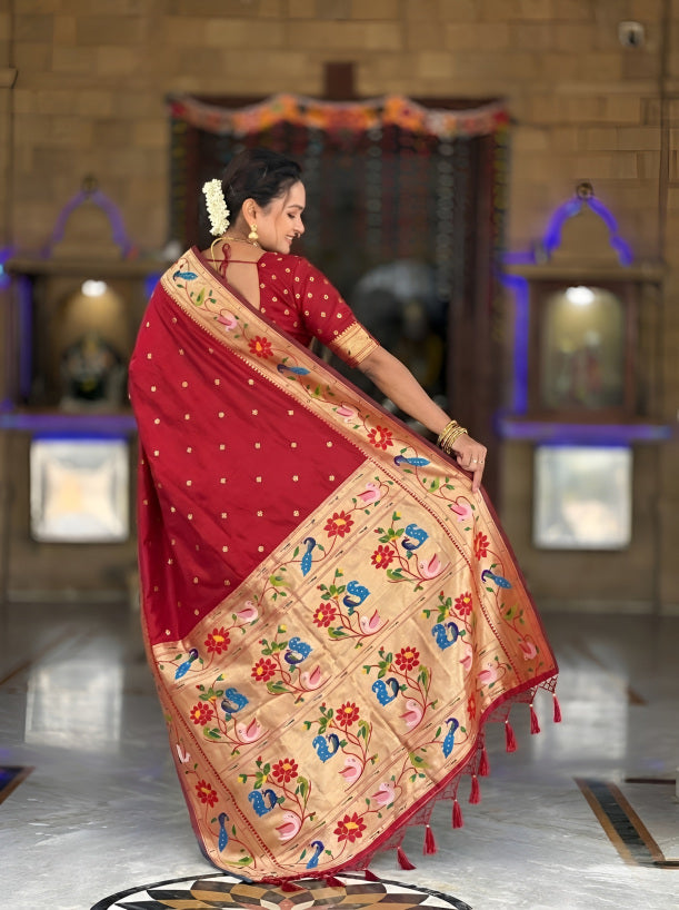 Catalog Designer Saree.