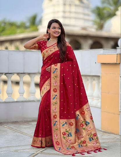 Catalog Designer Saree.