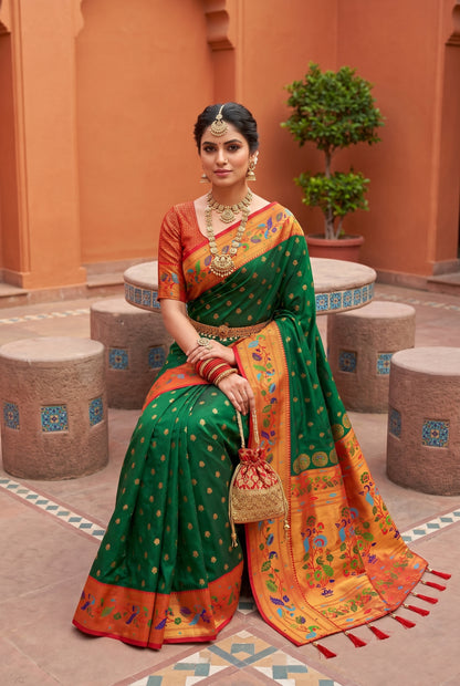 Catalogue Designer Saree