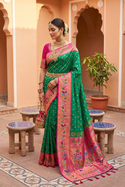 Catalogue Designer Saree