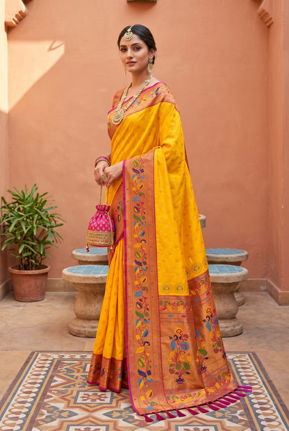 Catalogue Designer Saree