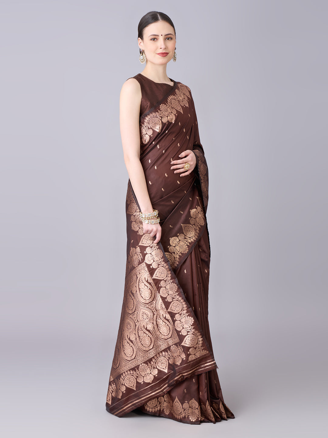 Catalogue Designer Banarasi Silk Saree