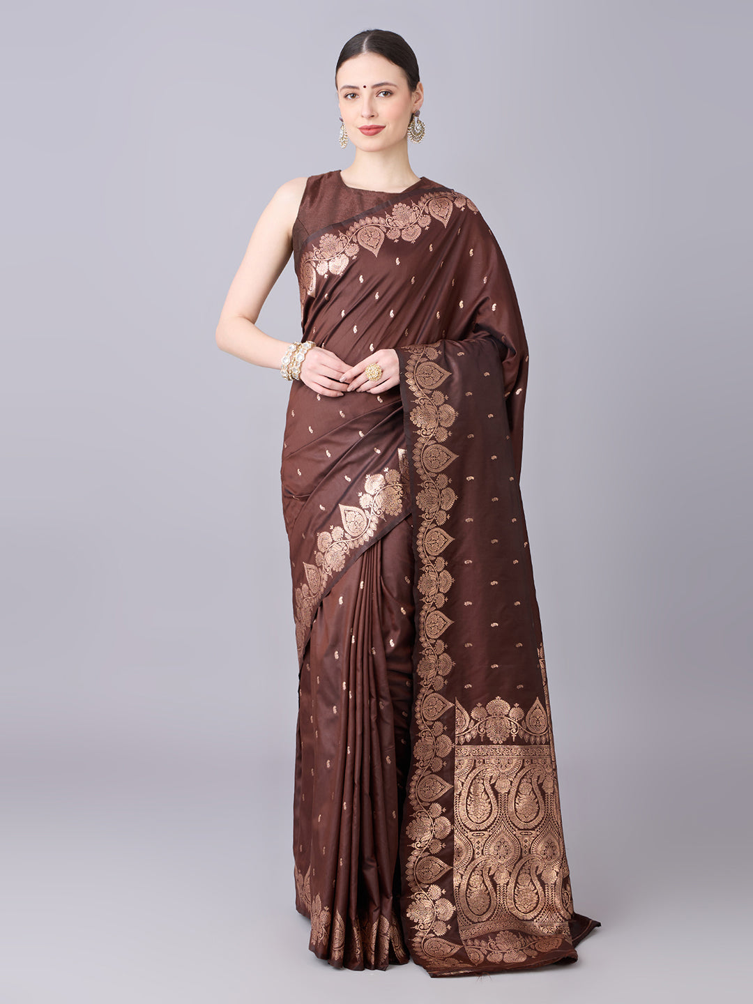 Catalogue Designer Banarasi Silk Saree